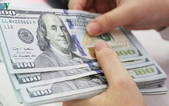 Giá USD hôm nay 6/12: Giảm nhẹ trước khi bước vào thời tăng trưởng?