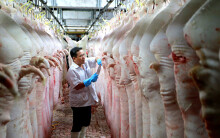 Heo hơi tăng sốc hơn 80.000 đồng/kg, ngành nông nghiệp khuyến cáo giá sẽ tăng tiếp khi Tết đến