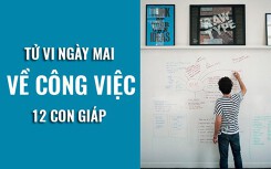 Tử vi ngày mai (1/3/2019) về công việc của 12 con giáp: Tuổi Tý giải quyết vấn đề tồn đọng