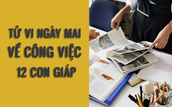 Tử vi ngày mai (2/3/2019) về công việc của 12 con giáp: Tuổi Sửu nhìn thấu rủi ro chốn công sở