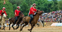 Tỉ USD đổ vào trường đua ngựa, đua chó, đua F1