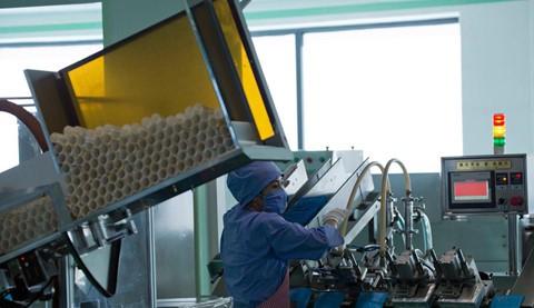Bên trong nhà máy sản xuất mỹ phẩm của Triều Tiên - Ảnh 6.