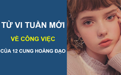 Tử vi tuần mới (11/3 - 17/3) về công việc của 12 cung hoàng đạo: Bảo Bình đột phá, Nhân Mã nhận thưởng