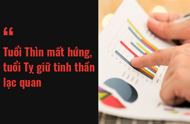 Tử vi hôm nay (12/3/2019) về tài chính của 12 con giáp: Tuổi Hợi cẩn thận bị thao túng - Ảnh 2. Tử vi hôm nay (12/3/2019) về tài chính của 12 con giáp: Tuổi Hợi cẩn thận bị thao túng - Ảnh 2.