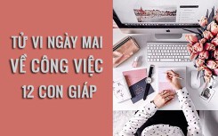 Tử vi ngày mai (12/3/2019) về công việc của 12 con giáp: Tuổi Hợi luôn giữ vững sự lạc quan