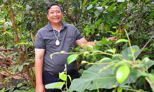 Bi hài cuộc chiến chống Ama Kông giả: Nguồn gốc bài thuốc bí truyền nổi tiếng - Ảnh 1.