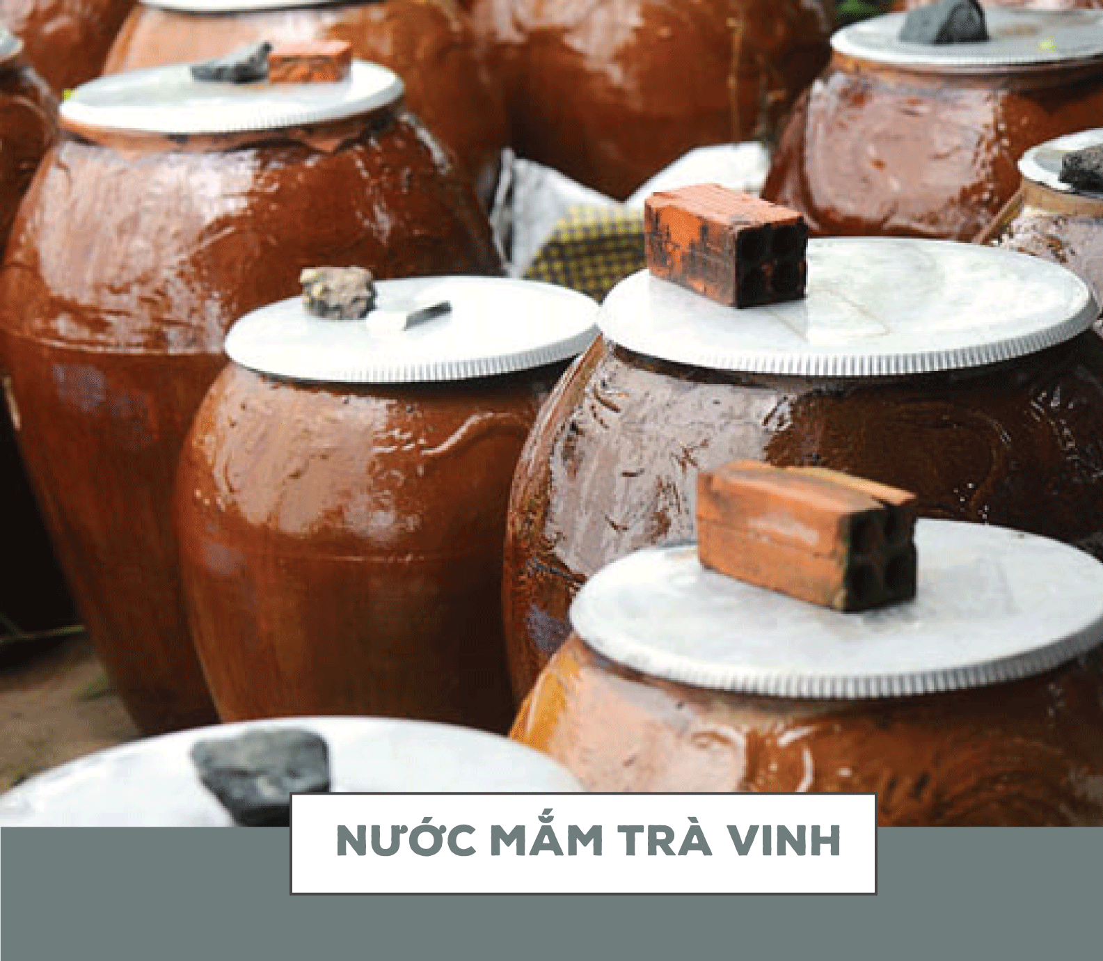 Về thăm làng nghề chế biến nước mắm ngon trứ danh đất Việt - Ảnh 4. Về thăm làng nghề chế biến nước mắm ngon trứ danh đất Việt - Ảnh 4.