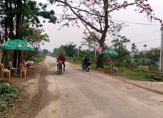 Cán bộ ngồi đánh bài trong chòi tại chốt kiểm dịch tả heo châu Phi - Ảnh 1. Cán bộ ngồi đánh bài trong chòi tại chốt kiểm dịch tả heo châu Phi - Ảnh 1.