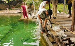 Hai khu du lịch ngang nhiên xây dựng, bất chấp lệnh cấm ở Đà Nẵng và Quảng Nam