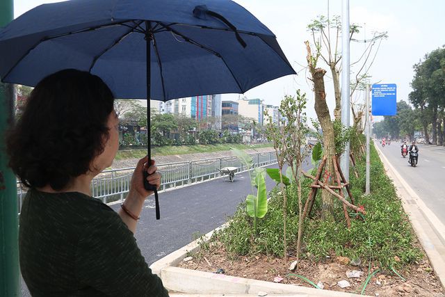 Toàn cảnh con đường dọc sông Tô Lịch chỉ để đi bộ, đi xe đạp - Ảnh 8.