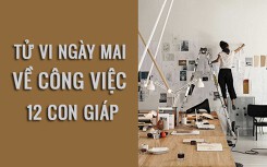 Tử vi ngày mai (14/3/2019) về công việc của 12 con giáp: Tuổi Sửu ‘một người vì mọi người’