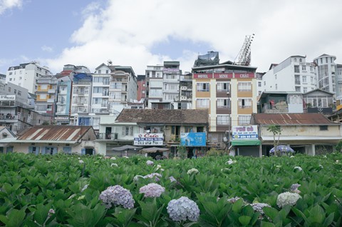 Đà Lạt xô lệch và những nỗi buồn của thành phố sương - Ảnh 7.
