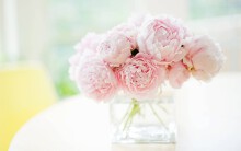 Ý nghĩa của các loại hoa trong ngày Valentine Trắng 14/3