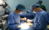 Người đàn ông bị heo mẹ táp 'của quý' khi chăm sóc heo con
