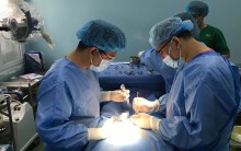 Người đàn ông bị heo mẹ táp 'của quý' khi chăm sóc heo con