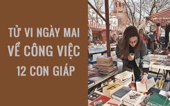 Tử vi ngày mai (17/3/2019) về công việc của 12 con giáp: Tuổi Mão phải làm việc chăm chỉ
