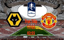 Nhận định Wolves vs Man Utd (02h55, 17/03), Tứ kết FA Cup: Vào hang bắt sói