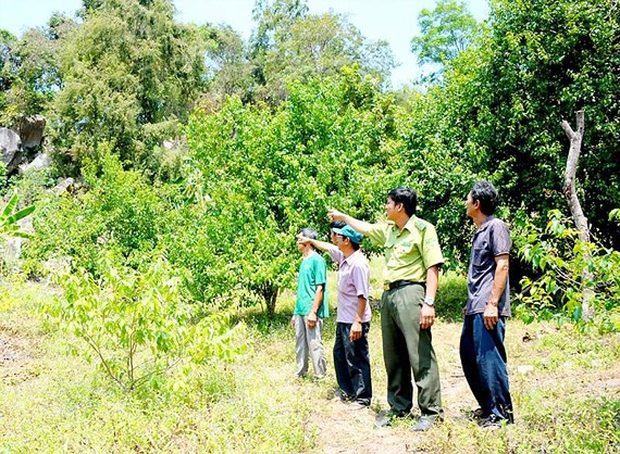 Dự báo thời tiết ngày mai 18/3: Không khí lạnh suy yếu gây ra thời tiết nồm ẩm - Ảnh 3. Dự báo thời tiết ngày mai 18/3: Không khí lạnh suy yếu gây ra thời tiết nồm ẩm - Ảnh 3.