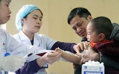 Những tiếng khóc thét xé lòng giữa 'tâm bão' sán lợn