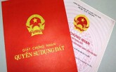 Chiêu đẩy bố mẹ ra đường của cậu quý tử