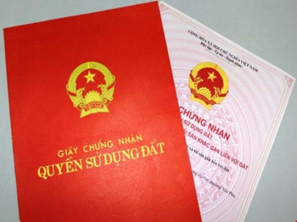 Chiêu đẩy bố mẹ ra đường của cậu quý tử - Ảnh 1. Chiêu đẩy bố mẹ ra đường của cậu quý tử - Ảnh 1.