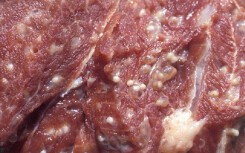 Chế độ dinh dưỡng dành cho người bị nhiễm sán lợn