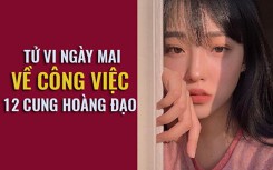 Tử vi ngày mai (20/3) về công việc của 12 cung hoàng đạo: Nhân Mã thận trọng chi tiêu, Song Ngư đừng gồng gánh một mình