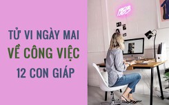 Tử vi ngày mai (3/3/2019) về công việc của 12 con giáp: Tuổi Dần ‘châm ngòi’ cho sự căng thẳng