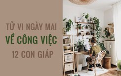 Tử vi ngày mai (4/3/2019) về công việc của 12 con giáp: Tuổi Mão cần thực tế hơn, bớt mộng tưởng