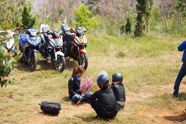 Hành động xấu xí của không ít du khách dưới tán mai anh đào tuyệt đẹp ở Đà Lạt. - Ảnh 10. Hành động xấu xí của không ít du khách dưới tán mai anh đào tuyệt đẹp ở Đà Lạt. - Ảnh 10.