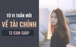 Tử vi tuần mới (4/3-8/3/2019) về tài chính của 12 con giáp: Kế hoạch tiết kiệm của Tuổi Sửu có thể bị đình trệ