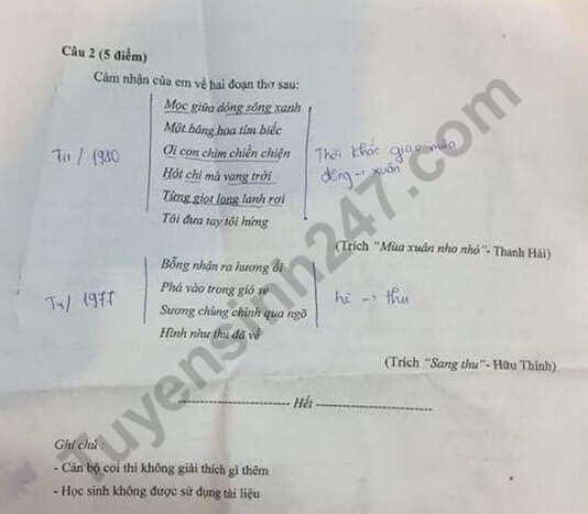 Đề thi thử vào lớp 10 môn Ngữ văn Trường THCS-THPT Nguyễn Tất Thành năm 2019 lần 1 - Ảnh 2.