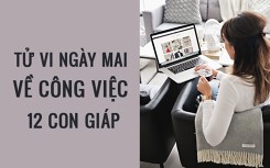 Tử vi ngày mai (23/3/2019) về công việc của 12 con giáp: Tuổi Dậu dễ dàng vượt qua khó khăn