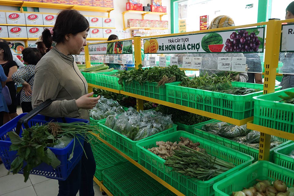Thấy gì từ doanh thu bán lẻ của hai ông lớn Vingroup và Thế Giới Di Động đầu năm 2019? - Ảnh 3.
