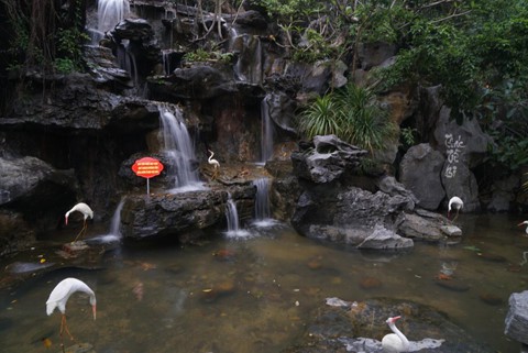 Quy mô hoành tráng của chùa Ba Vàng, nơi gây xôn xao vì thỉnh vong - Ảnh 8.