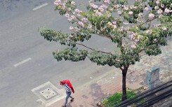Sài Gòn nắng nóng như đổ lửa, tia cực tím vượt ngưỡng nguy hiểm