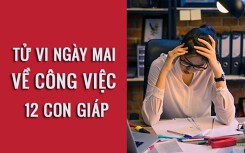 Tử vi ngày mai (27/3/2019) về công việc của 12 con giáp: Tuổi Sửu có vẻ sẽ bỏ bê công việc