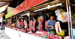 Heo sạch ế, tàn phá ngành chăn nuôi lớn hơn dịch tả heo châu Phi
