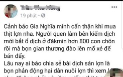 Phạt 10 triệu đồng người đăng bài viết đào xác 800 con heo bệnh lên xẻ thịt bán