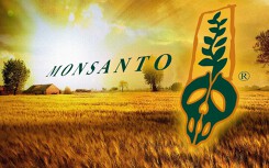 Monsanto - Tập đoàn sản xuất chất độc màu da cam phải bồi thường 81 triệu USD vì thuốc diệt cỏ gây ung thư