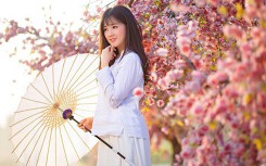 Tất tần tật những điều cần biết về lễ hội hoa anh đào Nhật Bản đang diễn ra tại Hà Nội