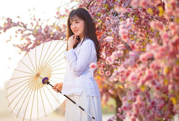 Tất tần tật những điều cần biết về lễ hội hoa anh đào Nhật Bản đang diễn ra tại Hà Nội - Ảnh 4. Tất tần tật những điều cần biết về lễ hội hoa anh đào Nhật Bản đang diễn ra tại Hà Nội - Ảnh 4.