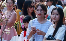 Ngắm thiếu nữ duyên dáng tại Lễ hội hoa anh đào Nhật Bản - Hà Nội 2019