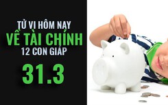 Tử vi hôm nay (31/3/2019) về tài chính của 12 con giáp: Tuổi Ngọ hạnh phúc nếu tài chính vững vàng