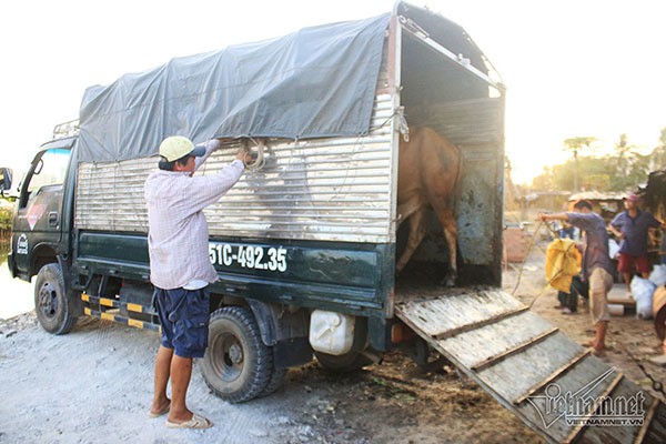 Quần áo lấm lem đi xin thức ăn thừa, anh nông dân kiếm tiền tỉ giữa Sài Gòn  - Ảnh 4.