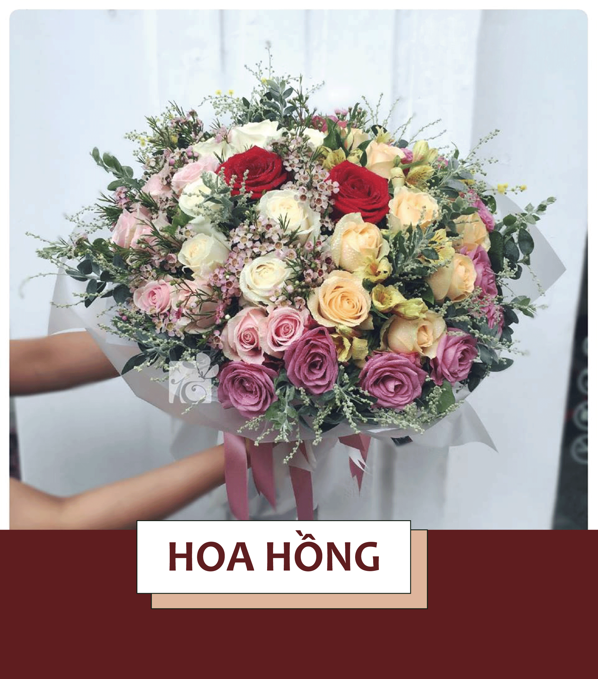 Những loại hoa ý nghĩa nhất để tặng bạn gái ngày 8/3 - Ảnh 2. Những loại hoa ý nghĩa nhất để tặng bạn gái ngày 8/3 - Ảnh 2.