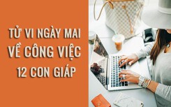 Tử vi ngày mai (5/3/2019) về công việc của 12 con giáp: Tuổi Thìn tạm gác mọi điều phiền muộn