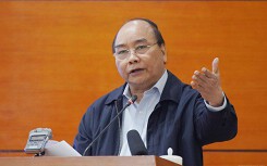 Thủ tướng: 'Chống dịch tả lợn như chống giặc'