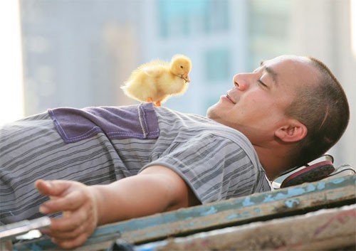 Sau 8 năm, cuộc sống dàn diễn viên Hot boy nổi loạn giờ ra sao? - Ảnh 26. Sau 8 năm, cuộc sống dàn diễn viên Hot boy nổi loạn giờ ra sao? - Ảnh 26.