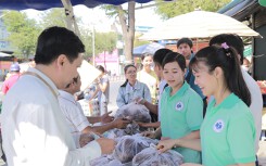 Sinh viên lập chiến dịch 'giải cứu' cả chục tấn khoai lang giúp nông dân Gia Lai